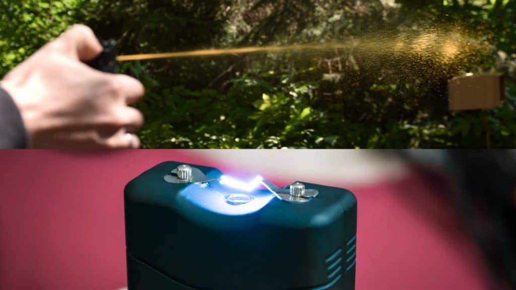 Pepper Spray and Stun Gun